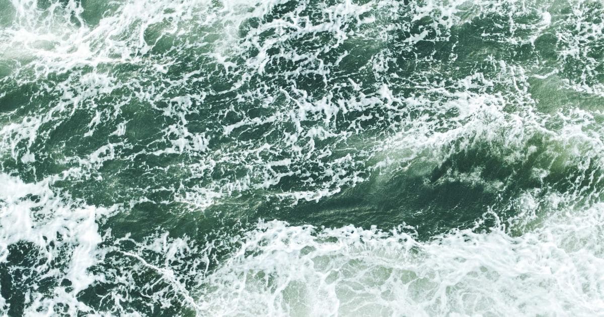 치매 예방을 위한 일상 속 습관 5가지